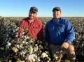 Angus and Will Turner, Edgeroi are the Namoi dryland cotton regional finalists. Pictures supplied